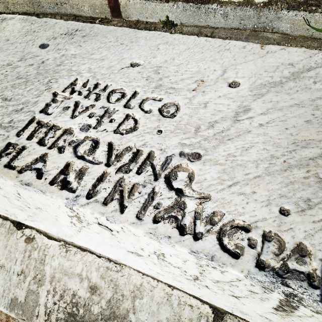 Pompeii: Private Tour With Local Guide Michele Arpa - Important Information