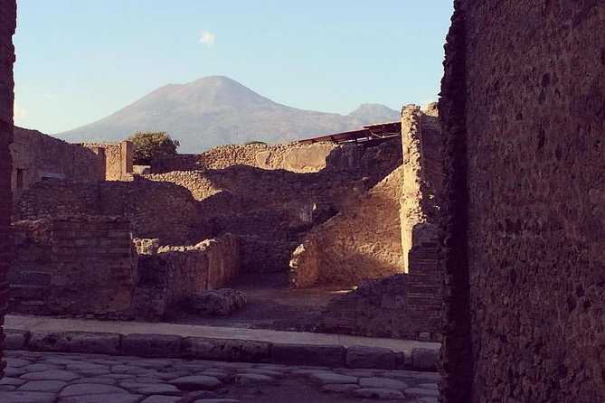 Pompeii Private Tour With Your Archaeologist - Inclusions and Additional Information