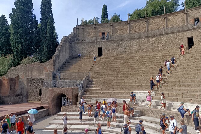 Pompeii Ruins and Archaeological Museum Private Tour From Rome - Cancellation and Refund Policy