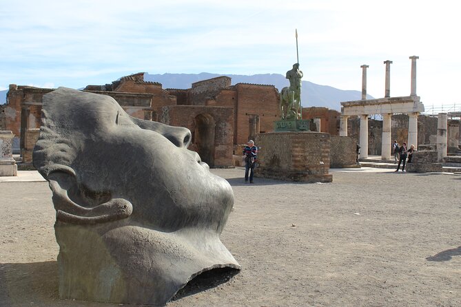 Pompeii Ruins and Archaeological Museum Private Tour From Rome - Customer Reviews and Testimonials
