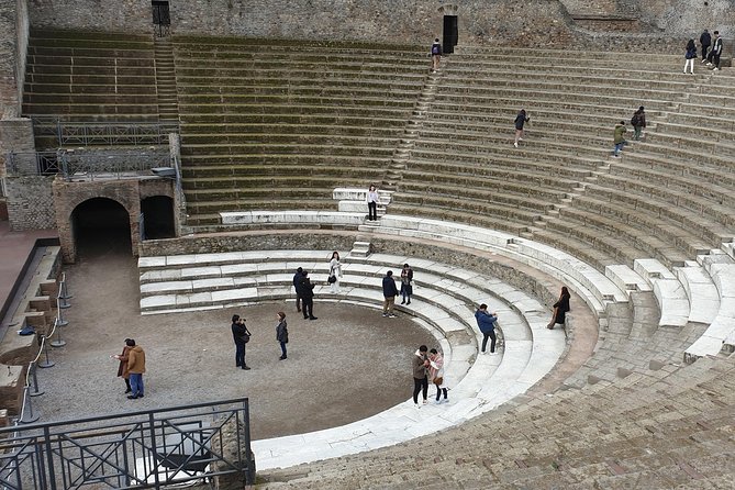 Pompeii Ruins and Wine Tasting - Tour Highlights