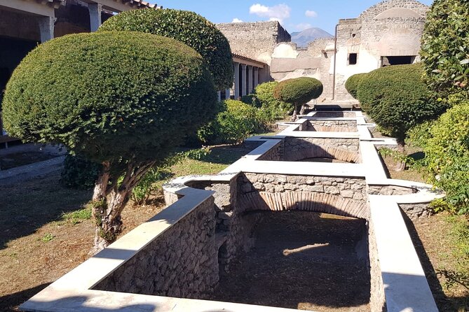 Pompeii Ruins and Wine Tasting - COVID-19 Compliance