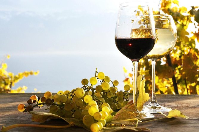 Pompeii Ruins and Wine Tour From Sorrento - Wine Tasting Experience