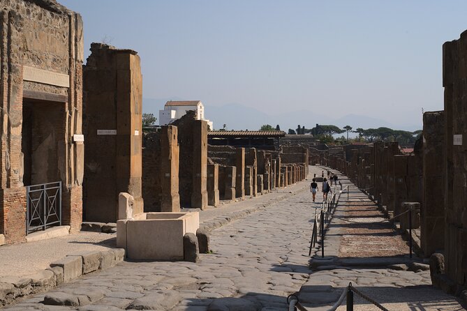 Pompeii Ruins & Lunch W/ Wine Tasting - Positive Reviews and Feedback