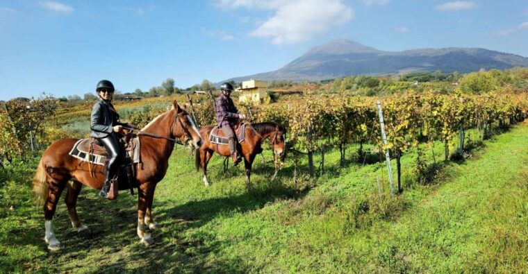 Pompeii: Ruins Tour and Mount Vesuvius Horseback Ride - Analyzing the Value  
