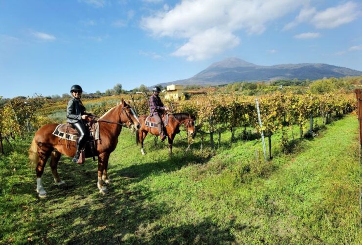 Pompeii: Ruins Tour and Mount Vesuvius Horseback Ride - Good To Know