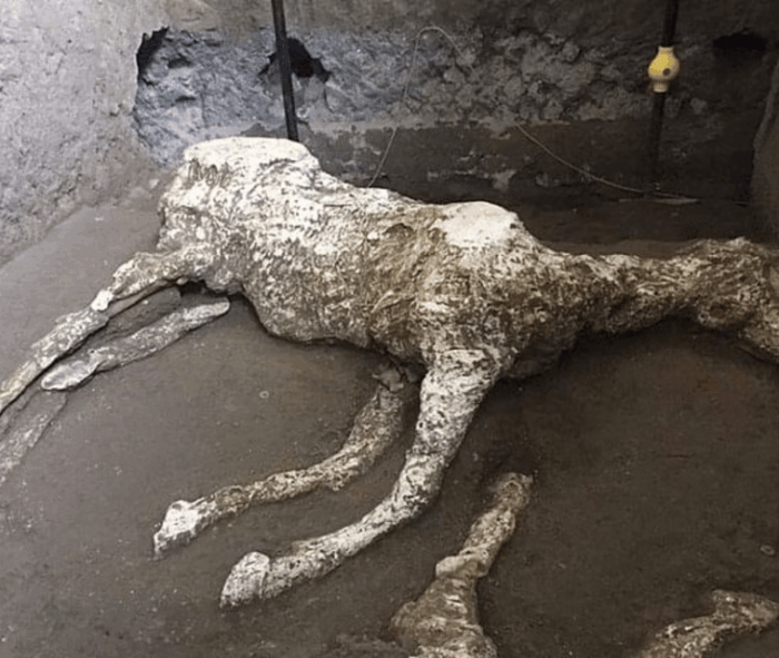 Pompeii Ruins Tour: Driver, Guide and Ticket Included - Why Choose This Tour