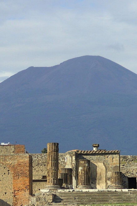 Pompeii Ruins & Vesuvius Winery From Sorrento or Positano - Experience Highlights