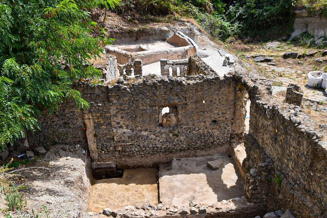 Pompeii Ruins W/ Two Vesuvian Wineries - Winery Experiences