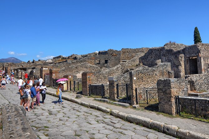 Pompeii: Semiprivate Guided Tour - Private Tours Overview