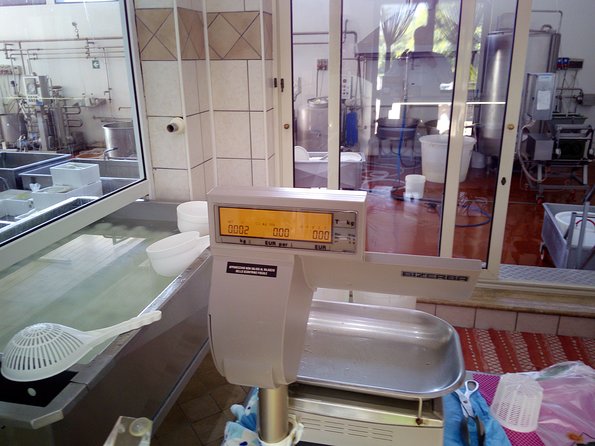 Pompeii Skip-The-Line and Mt Vesuvius With Lunch&Winetasting From Naples Port - Additional Information