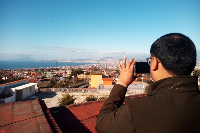 Pompeii Skip-The-Line and Mt Vesuvius With Lunch&Winetasting From Naples Port - Volcano Crater Visit