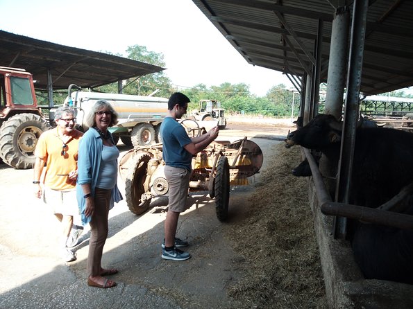 Pompeii Skip-The-Line and Mt Vesuvius With Lunch&Winetasting From Naples Port - Wine Tasting Details