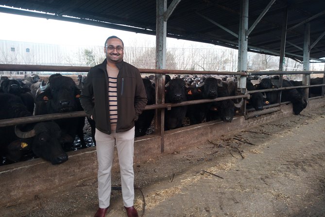 Pompeii Skip-The-Line and Mt Vesuvius With Lunch&Winetasting From Naples Port - Pricing and Reservation