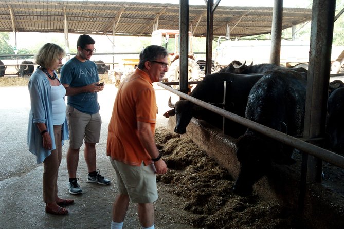 Pompeii Skip-The-Line and Naples Full Day Tour From Rome - Reservation and Payment Options