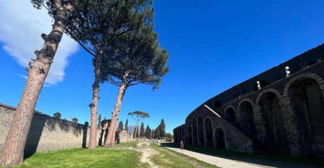 Pompeii Skip the Line Shared Group - Tour Experience