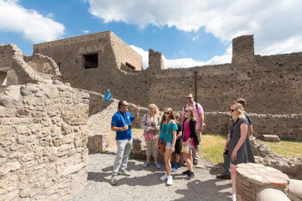 Pompeii: Skip the Line Small Group Expert Guided Tour - Pricing