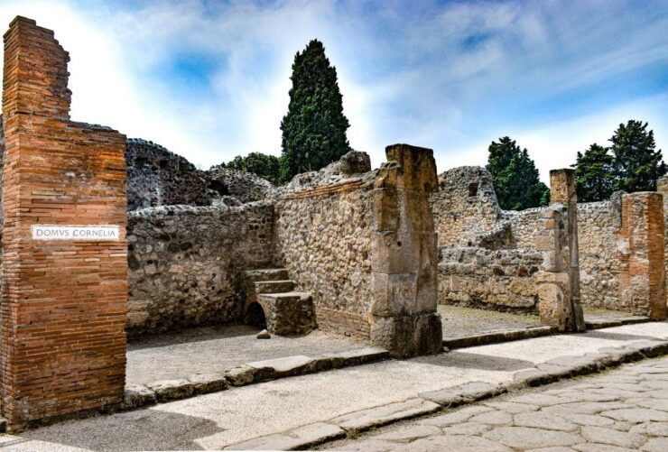 Pompeii: Skip-the-Line Ticket & Private Guided Walking Tour - Tour Details