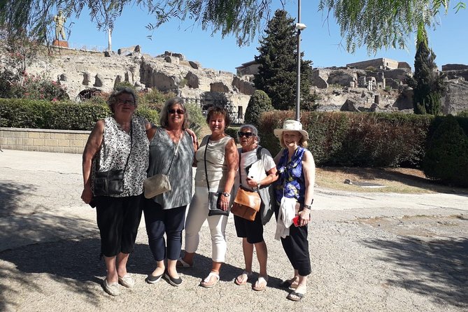 Pompeii Skiptheline and Mt Vesuvius With Lunch&Winetasting From Naples Port - Vesuvius Volcano Crater Visit