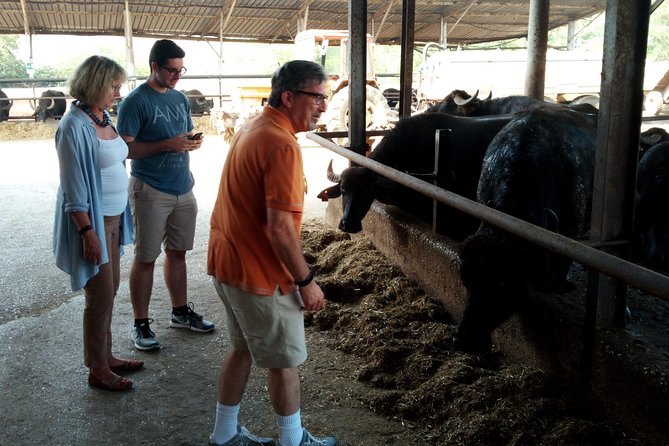 Pompeii Skiptheline and Mt Vesuvius With Lunch&Winetasting From Rome - Private Day Trip to Pompeii