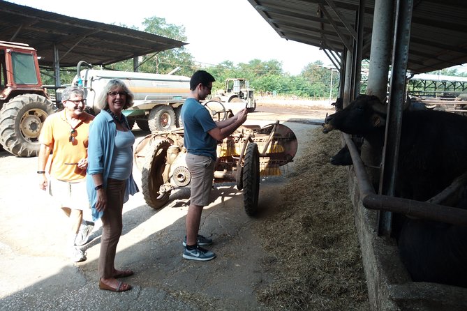 Pompeii Skiptheline and Mt Vesuvius With Lunch&Winetasting From Rome - Hike up to Mt Vesuvius Summit