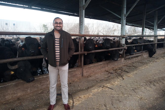 Pompeii Skiptheline and Mt Vesuvius With Lunch&Winetasting From Rome - Common Questions