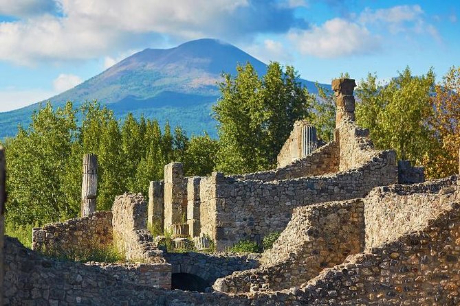 Pompeii, Sorrento and Amalfi Coast With Driver - Private Day Trip From Rome - Trip Pricing and Booking Process