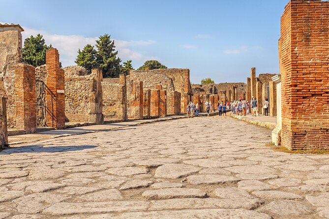 Pompeii Ticket With Optional Guided Tour - Common Questions