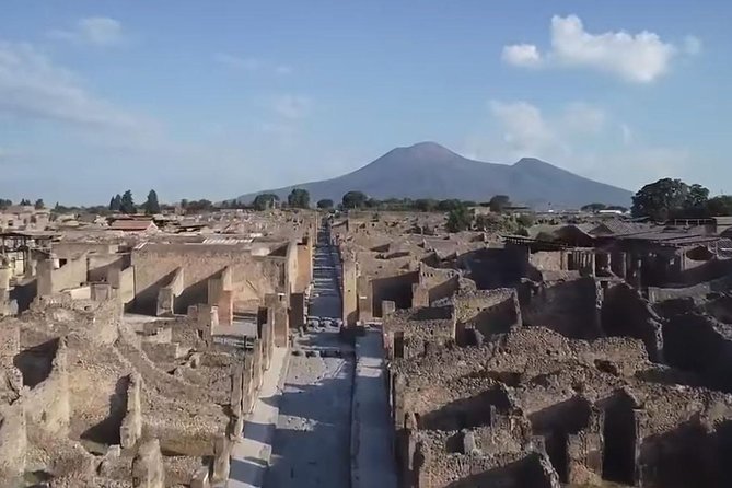 Pompeii Tour From Rome - Tour Highlights