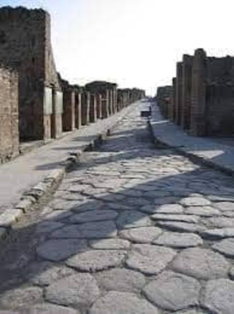 Pompeii Tour Guide Driver and Ticket - Inclusions