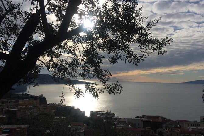 POMPEII TOUR - Skip the Line Access - From Sorrento or Naples (Private Van) - Booking Options and Directions