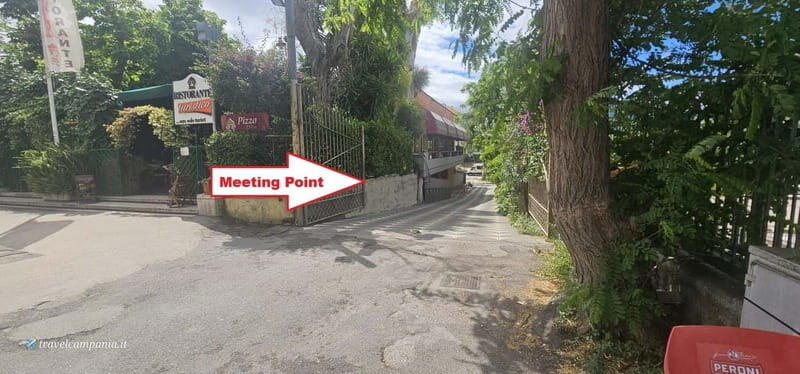 Pompeii: Tour with Archaeologist Guide & Skip-the-Line Entry - What’s Included & What’s Not