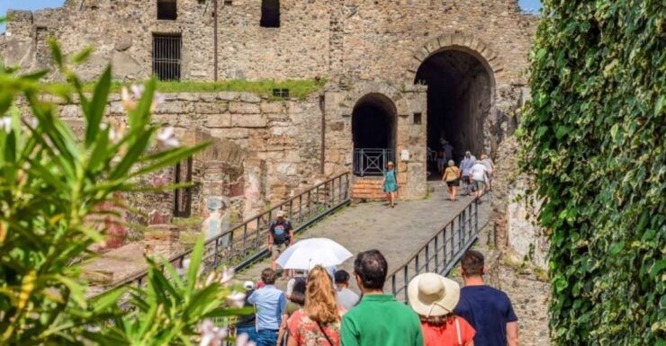 Pompeii: Tour With Priority Entrance and Guide From Naples - Tour Description and Highlights
