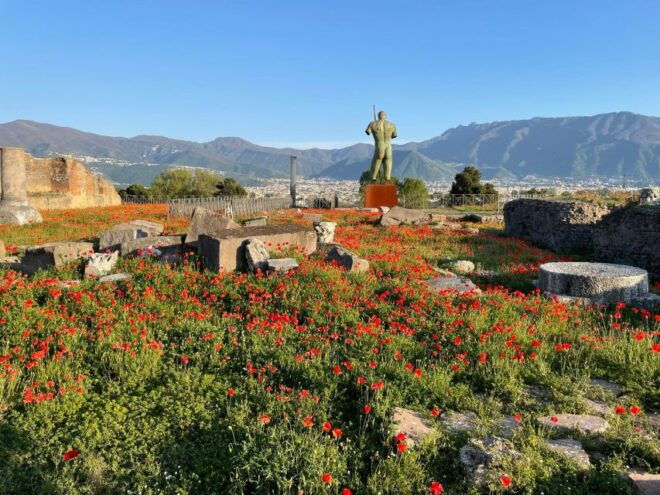 Pompeii Unveiled: A Private Odyssey Through Ancient Splendor - Additional Information