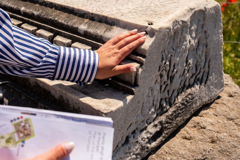 Pompeii Unveiled: Guided Tour Through Time and Memory - What the guide adds, and what can vary