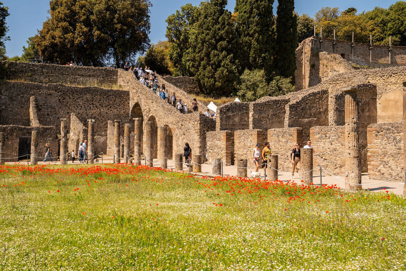 Pompeii Unveiled: Guided Tour Through Time and Memory - Who should book this Pompeii walk?