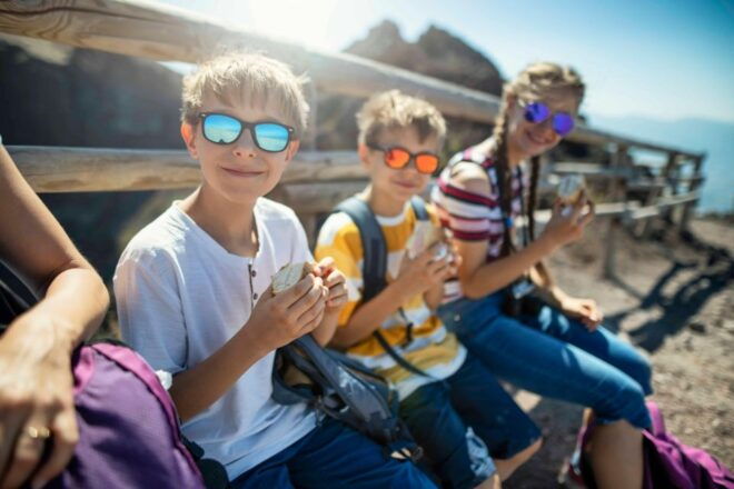 Pompeii, Vesuvius and Herculaneum Tour - Activity Description