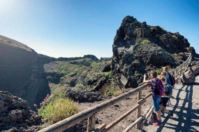 Pompeii, Vesuvius and Herculaneum Tour - Inclusions and Booking Information