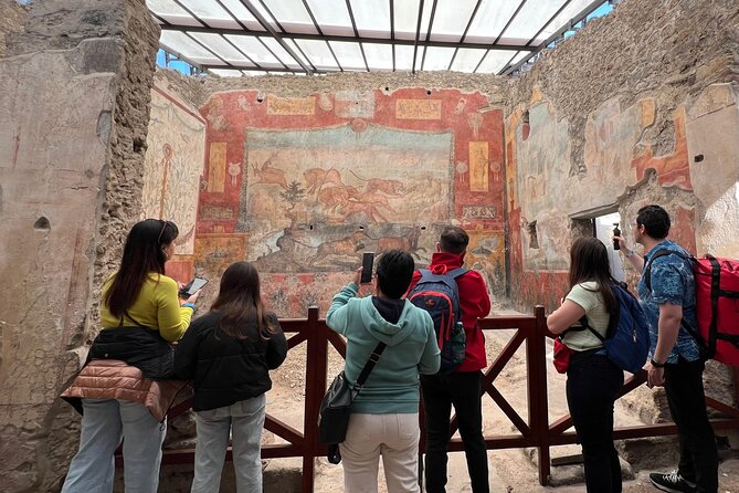 Pompeii Vesuvius Day Tour From Naples With Italian Lunch and Wine - Insider Tips for the Tour