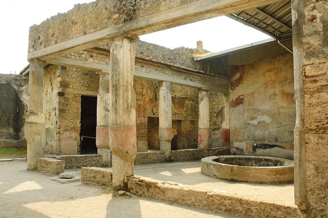 Pompeii, Vesuvius, Wine Tasting and Light Lunch All Inclusive - Traveler Tips and Reviews
