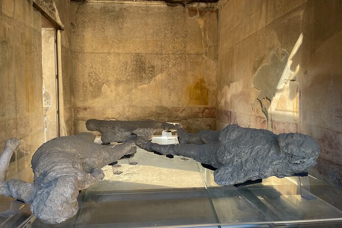 Pompeii, Vesuvius & Wine Tasting From Positano All Inclusive - Tour Operator Information