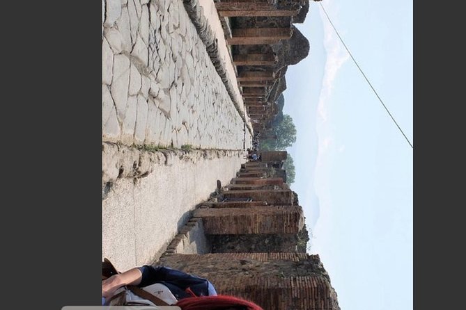 Pompeii, Vesuvius & Wine Tasting Private Day Tour - Tour Highlights