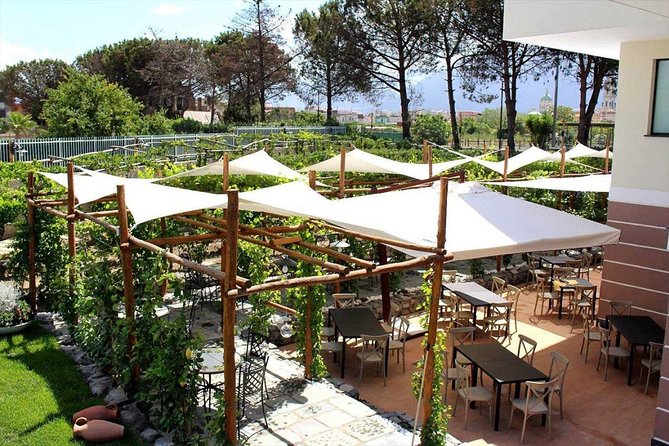 Pompeii & Vesuvius With Lunch & Wine Tasting From Sorrento Coast - Reviews