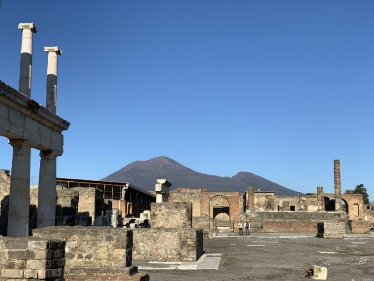 Pompeii VIP 3h Tour: Skip-the-line with your Archaeologist - Final Thoughts