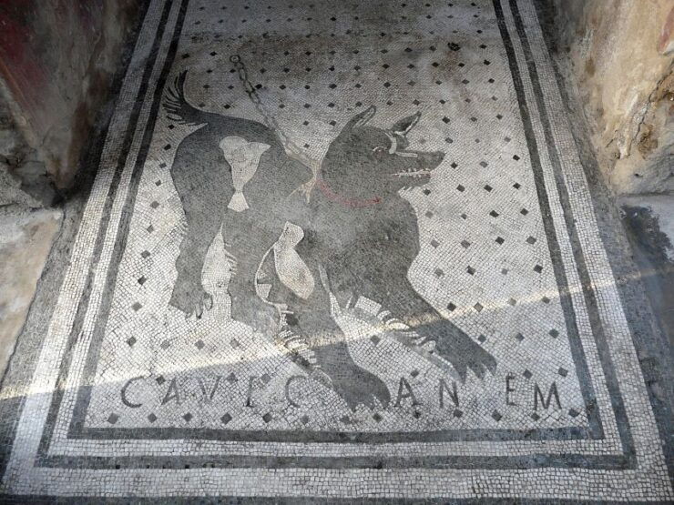 Pompeii: Virtual Museum Entry Ticket - Ticket Information