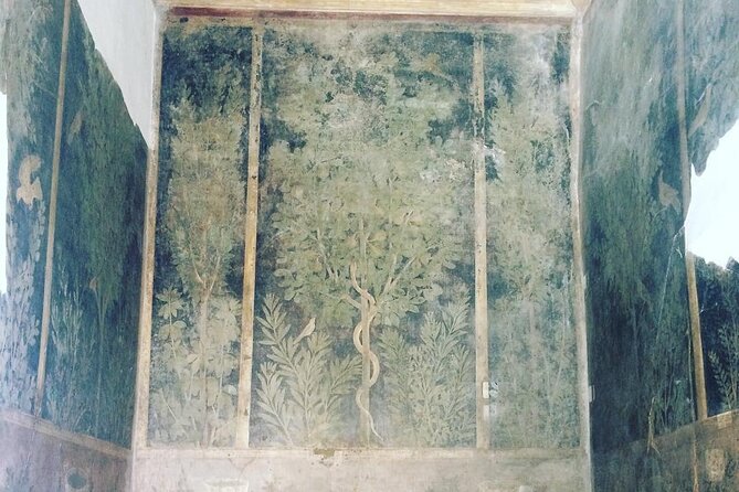 Pompeii Walking Tour - Tour Overview and Inclusions