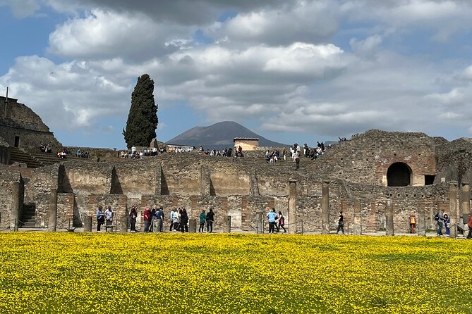 Pompeii Walking Tour - Meeting and Pickup Information