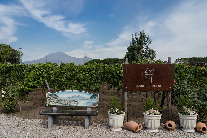 Pompeii Wine Tasting - Excursion to Bosco De Medici Winery