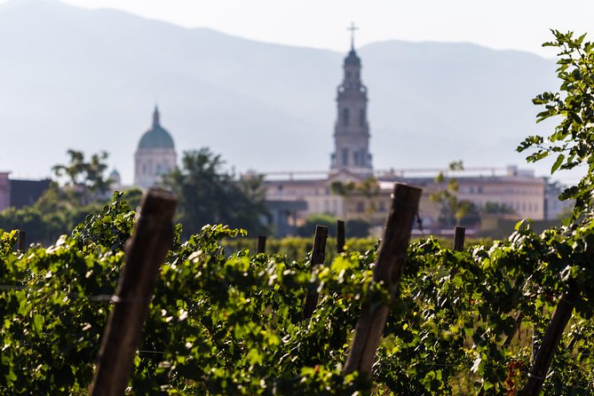 Pompeii Wine Tasting - Private Guide for Personalized Attention