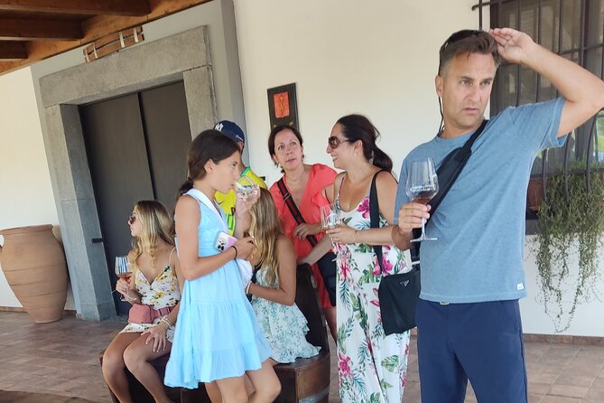 Pompeii & Wine Tasting Private Day Tour - Transportation Details